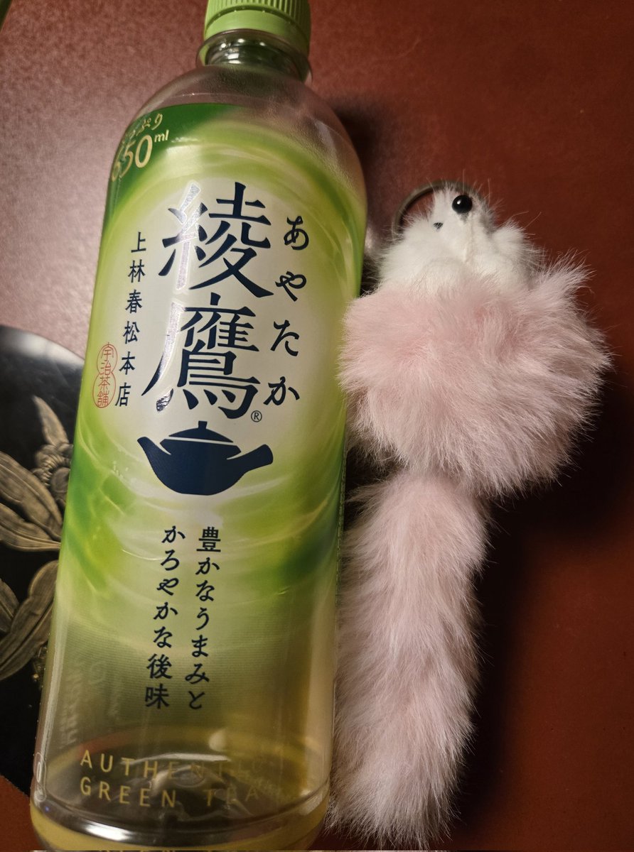 ミト🐻漫画連載中 tweet media