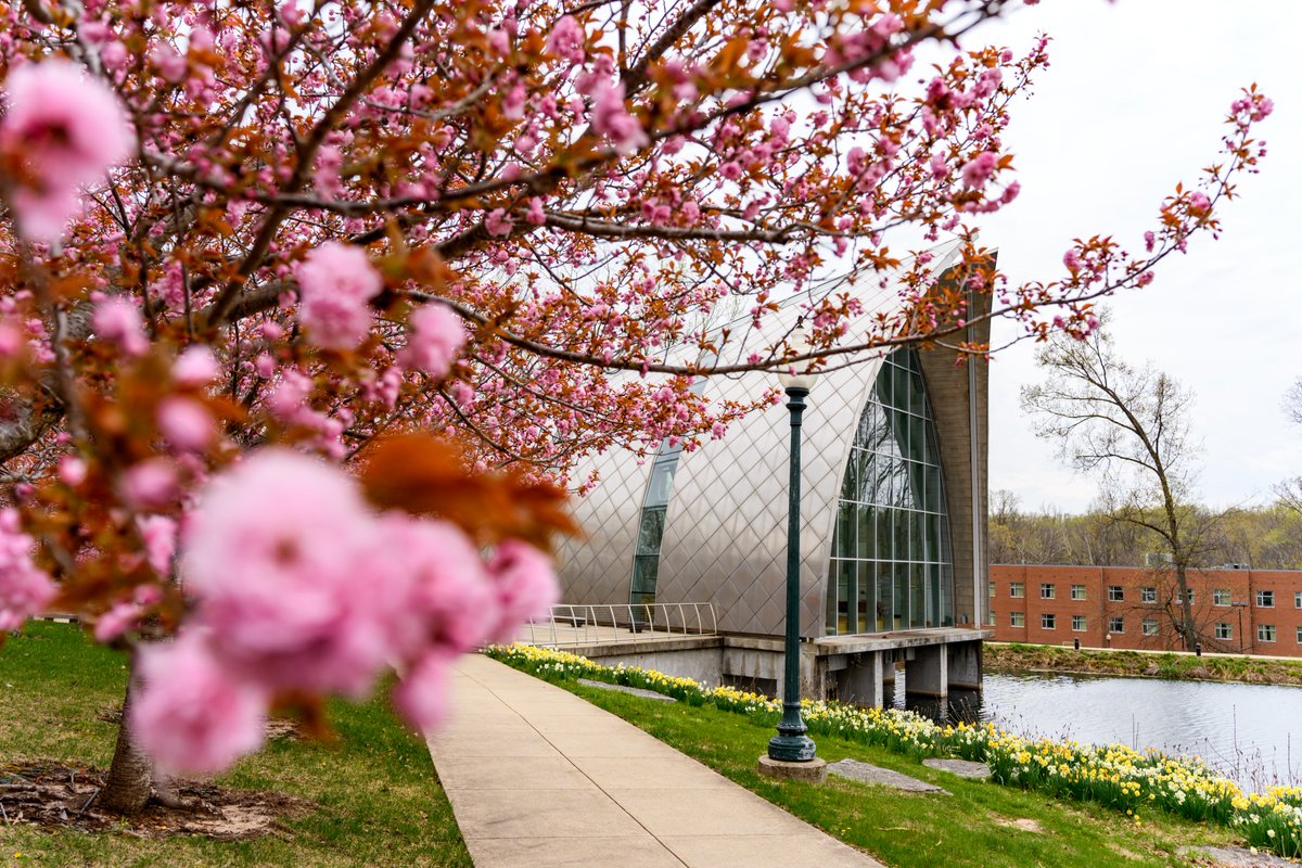 Rose-Hulman tweet media