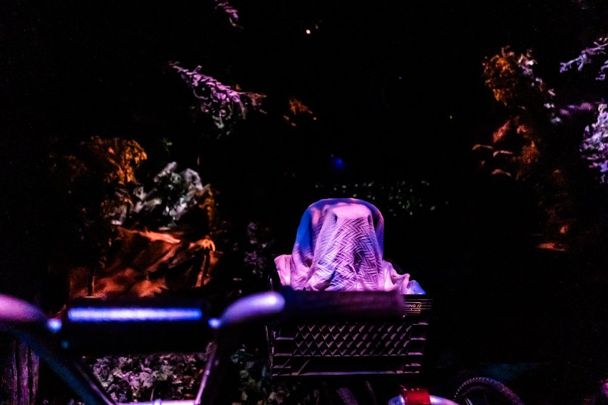 Universal Orlando Resort tweet media