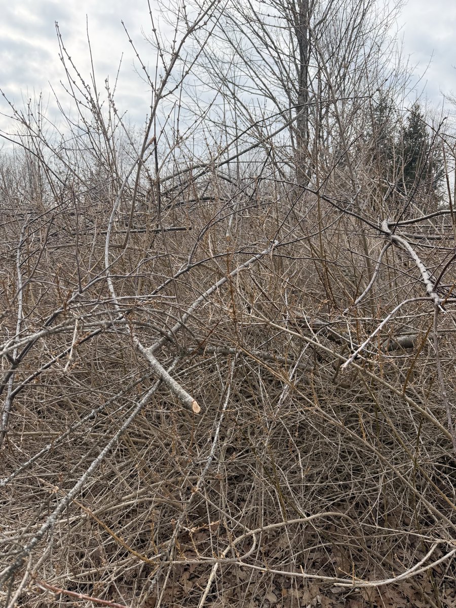 TheJoshTower's tweet photo. @NYSEandG Jacking up your property over and over again all while providing over priced electricity and gouged bills. Thanks @NYSEandG !! https://t.co/WMS0pMYpvc