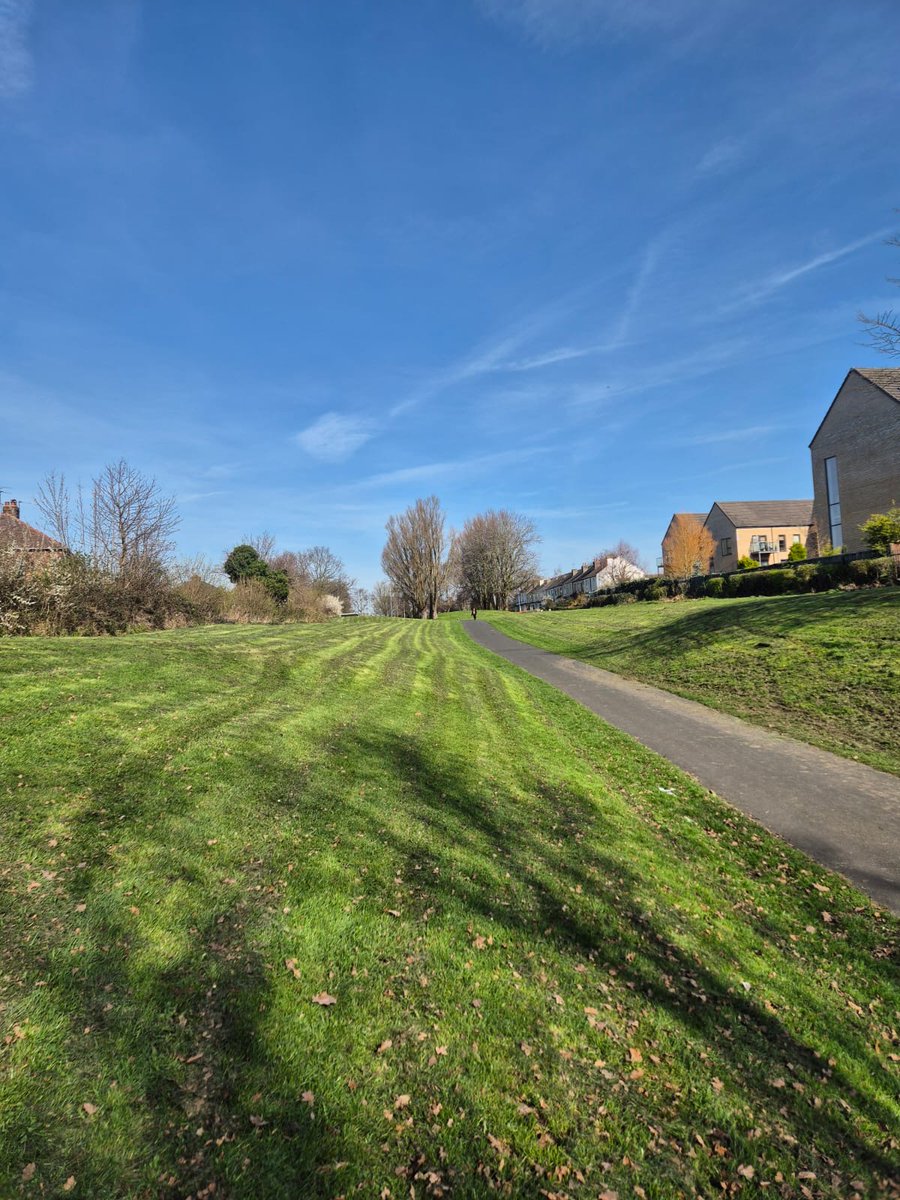 Halton Council tweet media