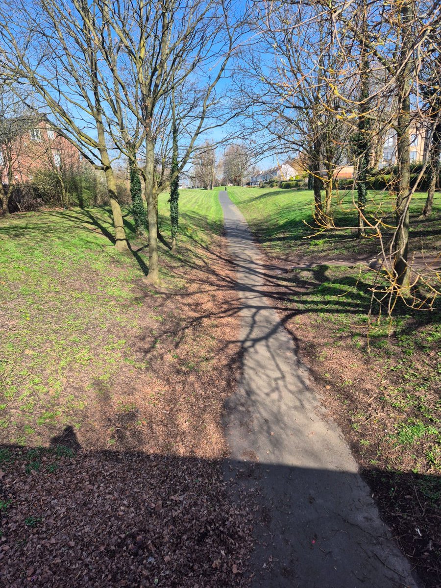 Halton Council tweet media