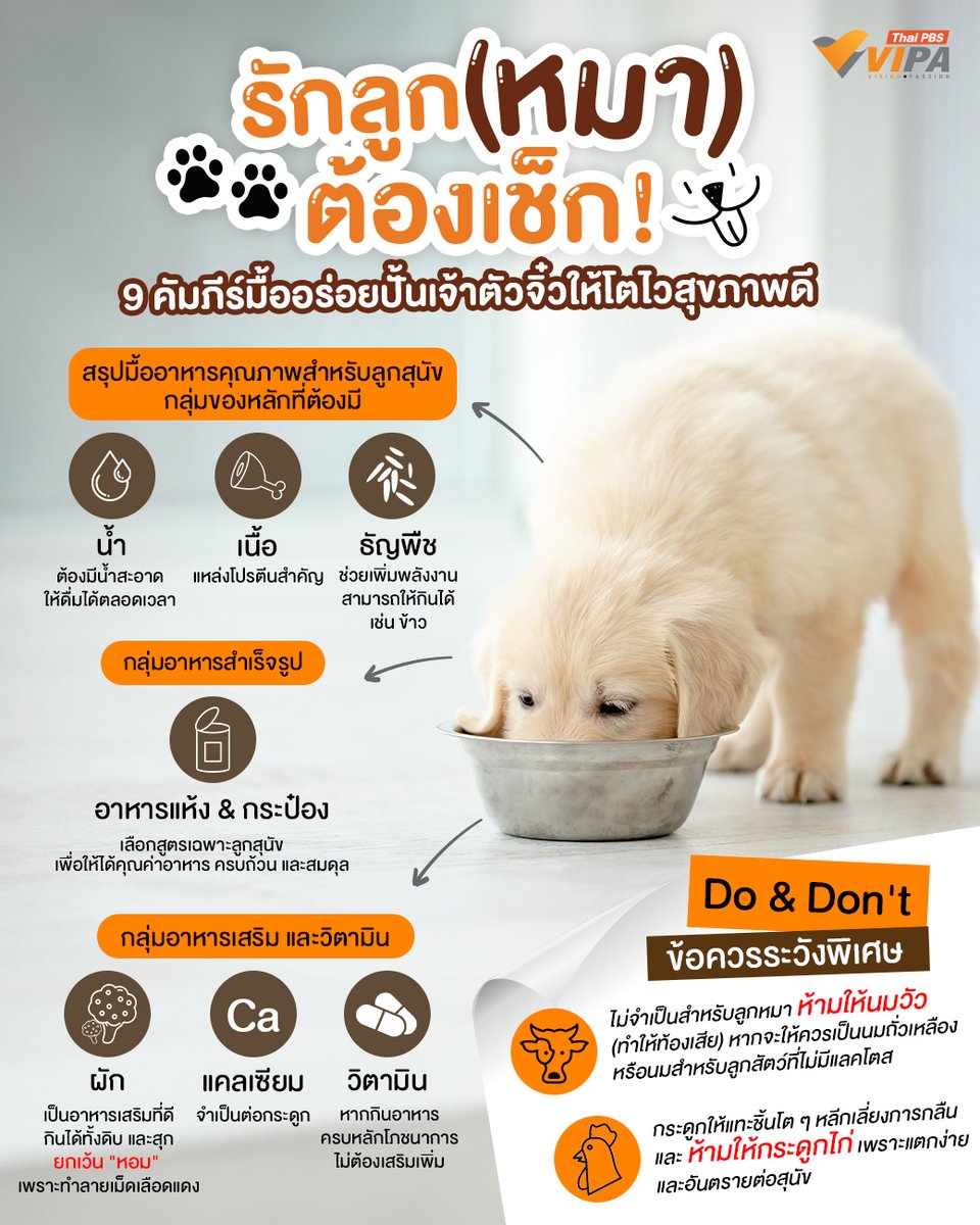 VIPA | Vision · Passion tweet media