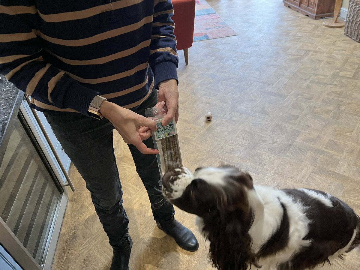 EDDIE Heir 2 AdsDogCharlie tweet media