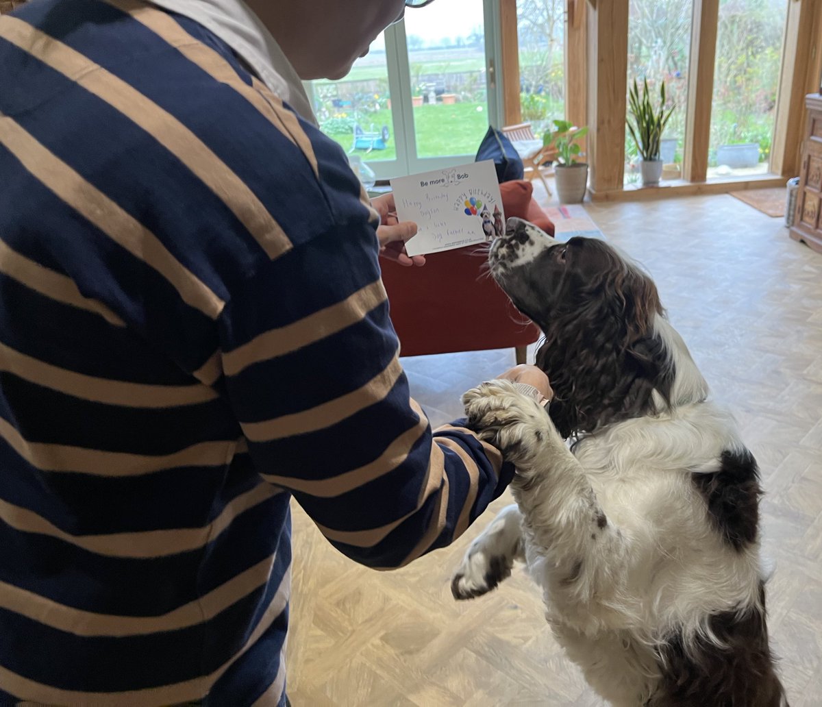 EDDIE Heir 2 AdsDogCharlie tweet media