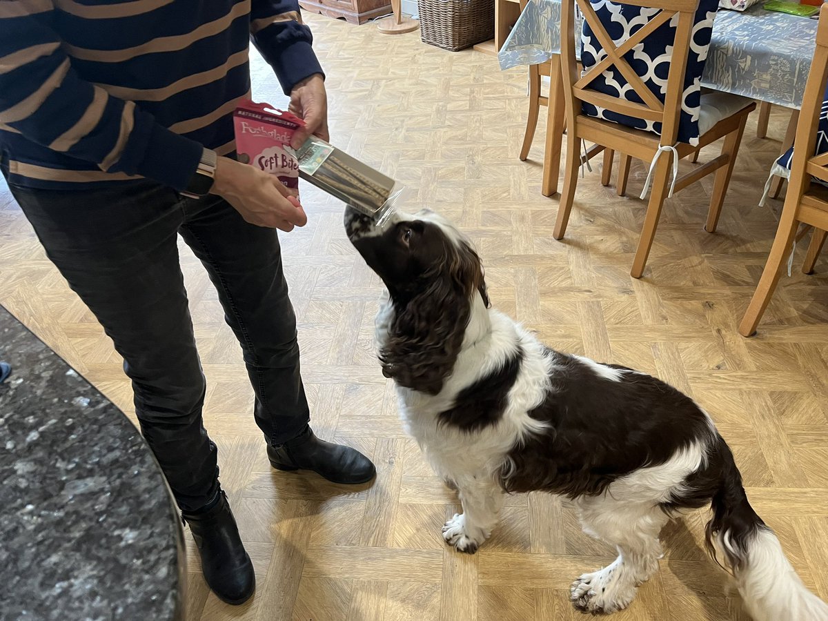 EDDIE Heir 2 AdsDogCharlie tweet media