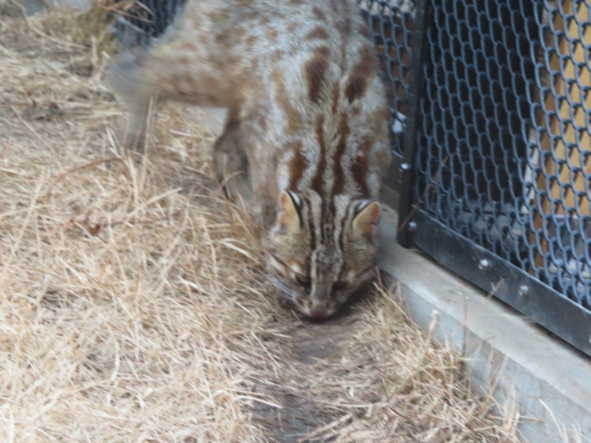 ゆーや★ tweet media