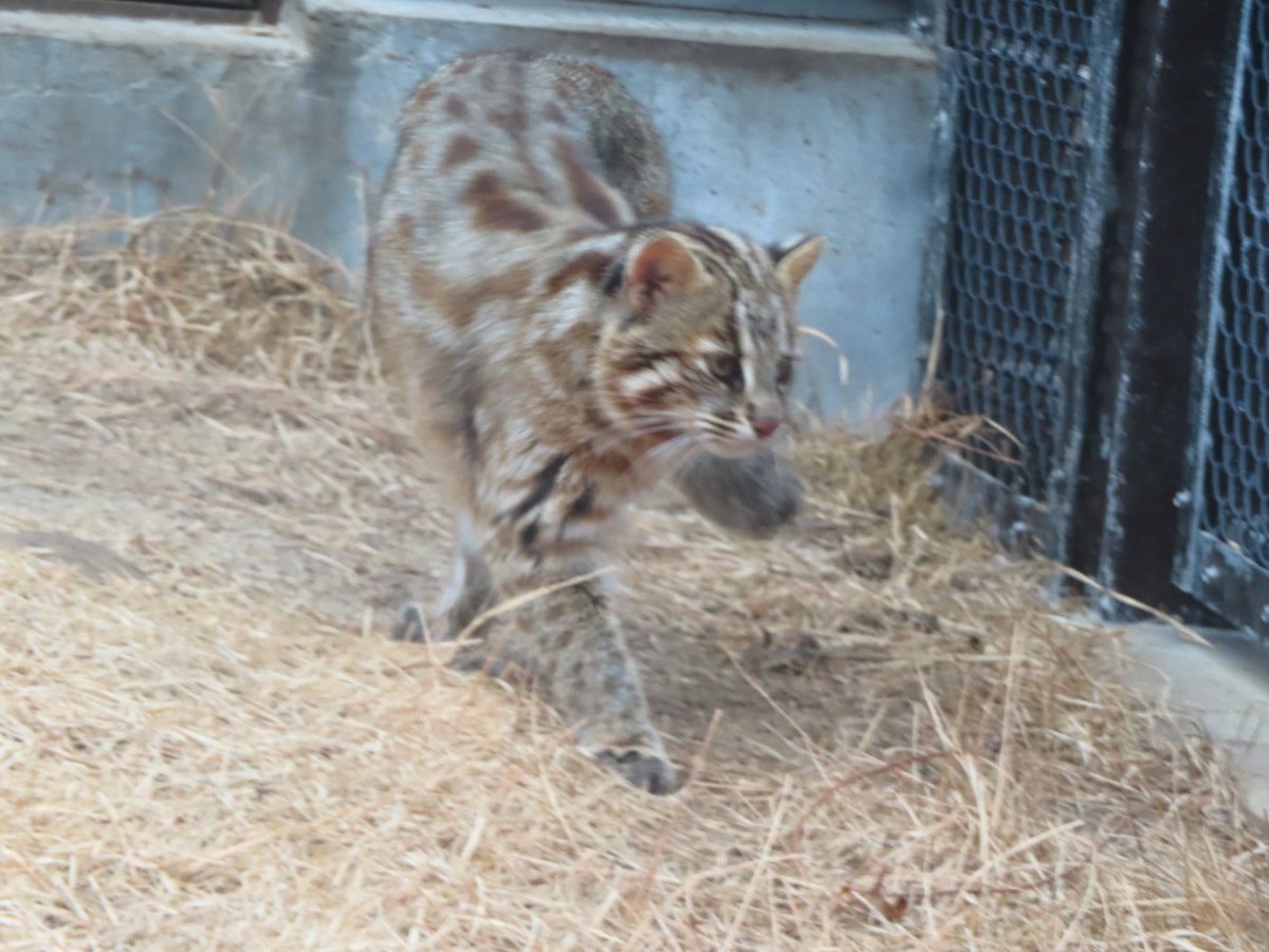 ゆーや★ tweet media