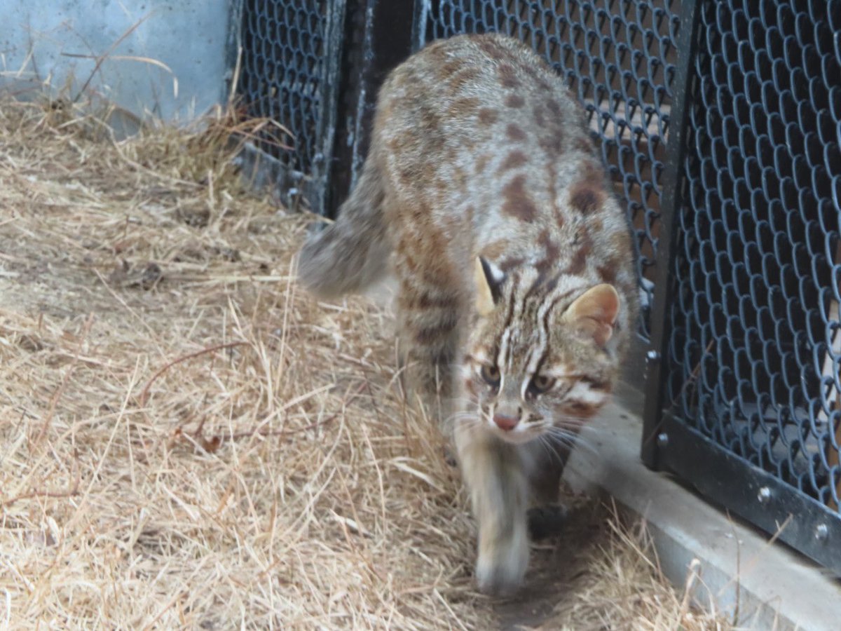 ゆーや★ tweet media