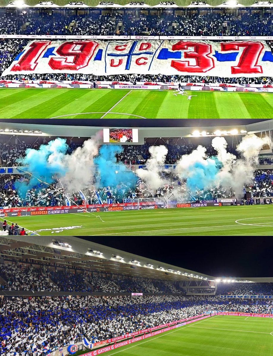 MARCELISMO 🛡️ tweet media