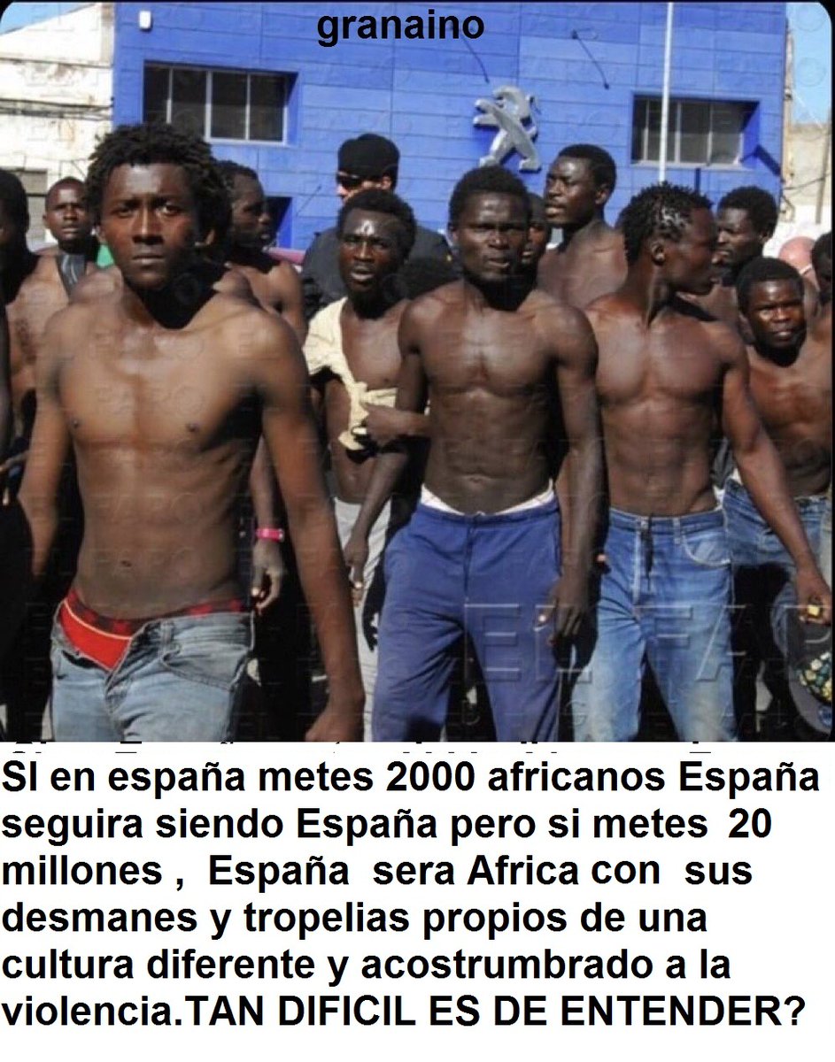 granainopyf tweet media