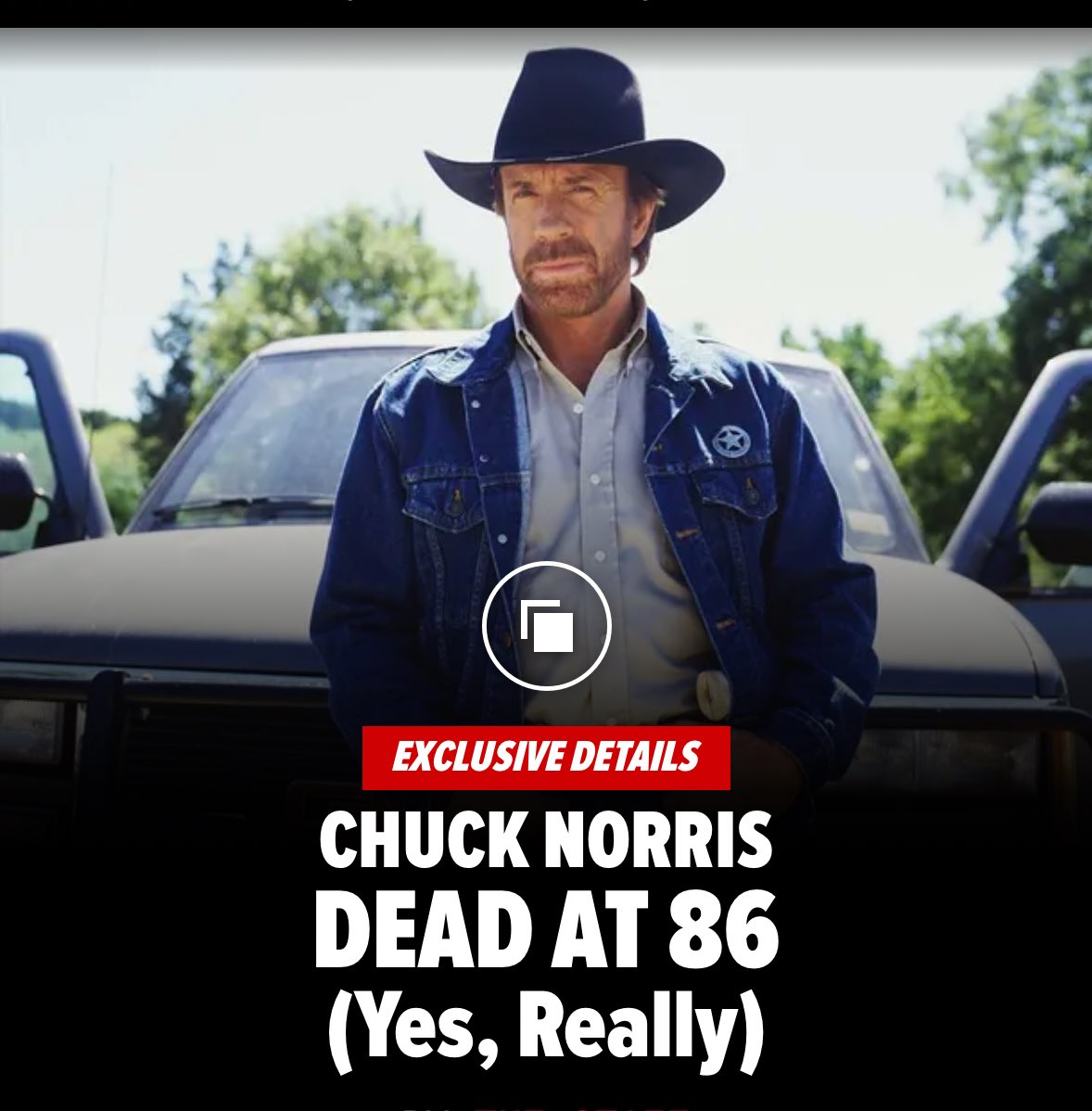 Dana Gat tweet media