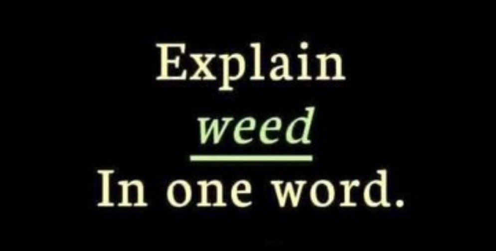 Stoner Barbie tweet media