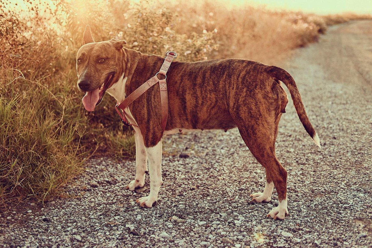 Miltiadis Benakis tweet media