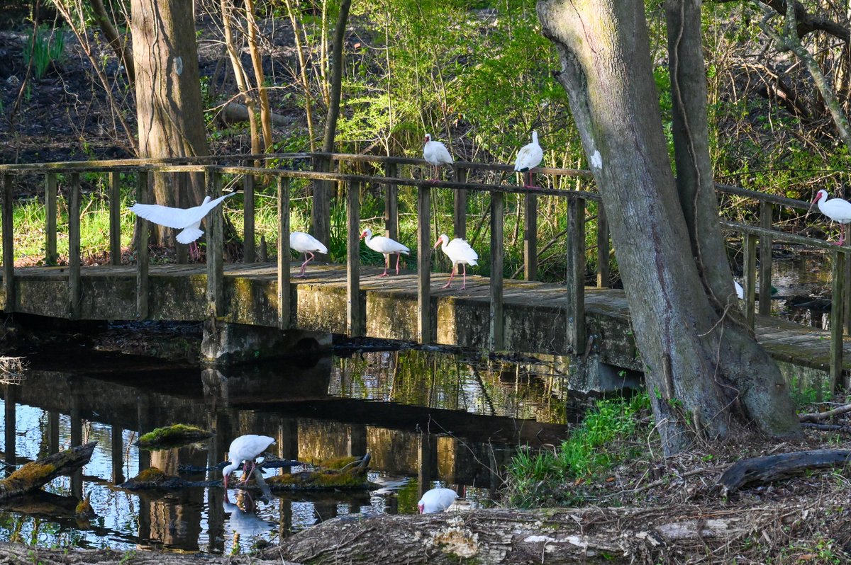 Nate Igor Smith tweet media