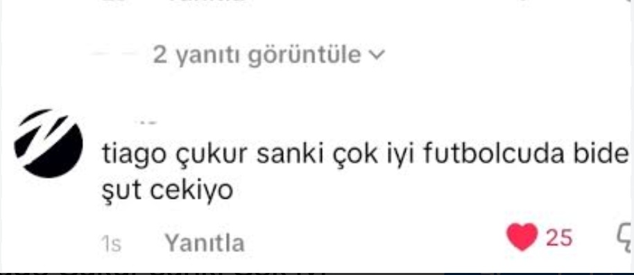 cerenvettel² tweet media