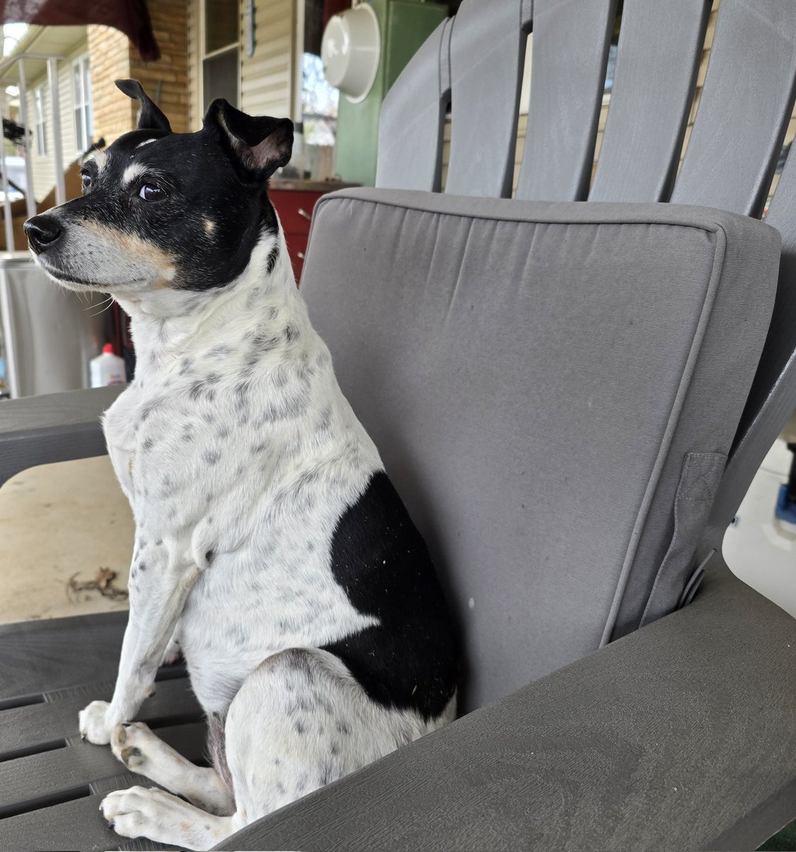 Scott Braddock tweet media