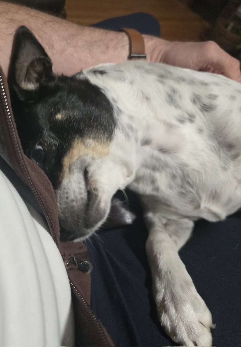 Scott Braddock tweet media