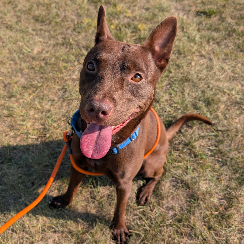 WOOD TV8 tweet media