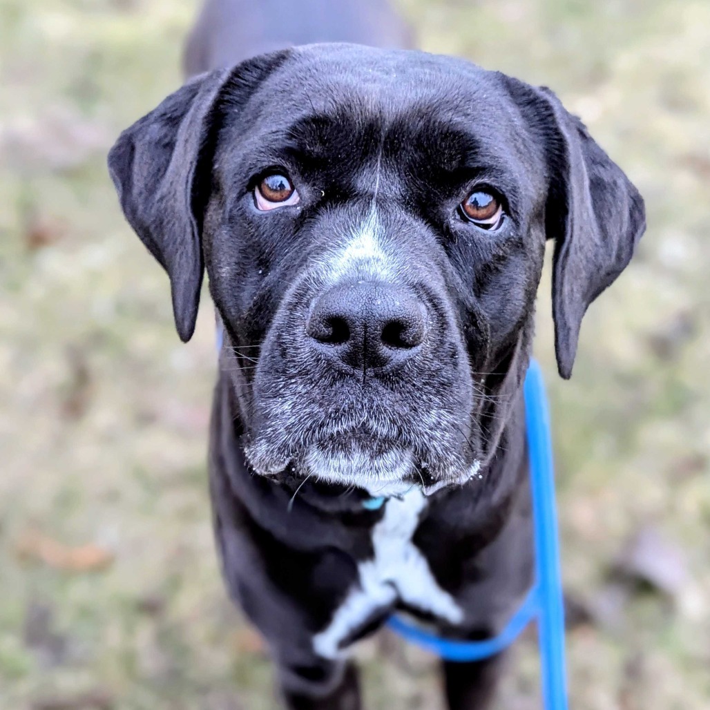 WOOD TV8 tweet media