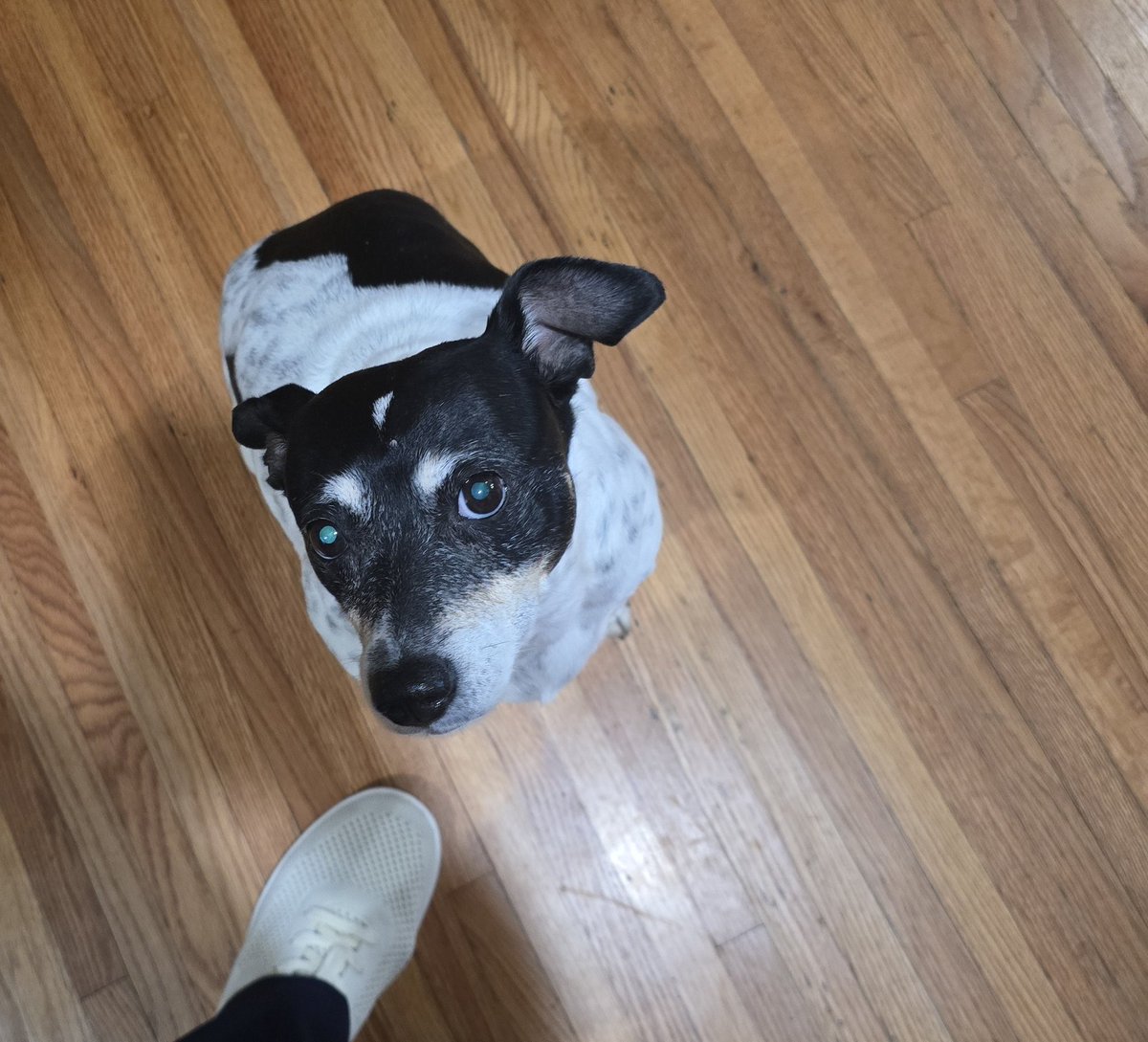 Scott Braddock tweet media