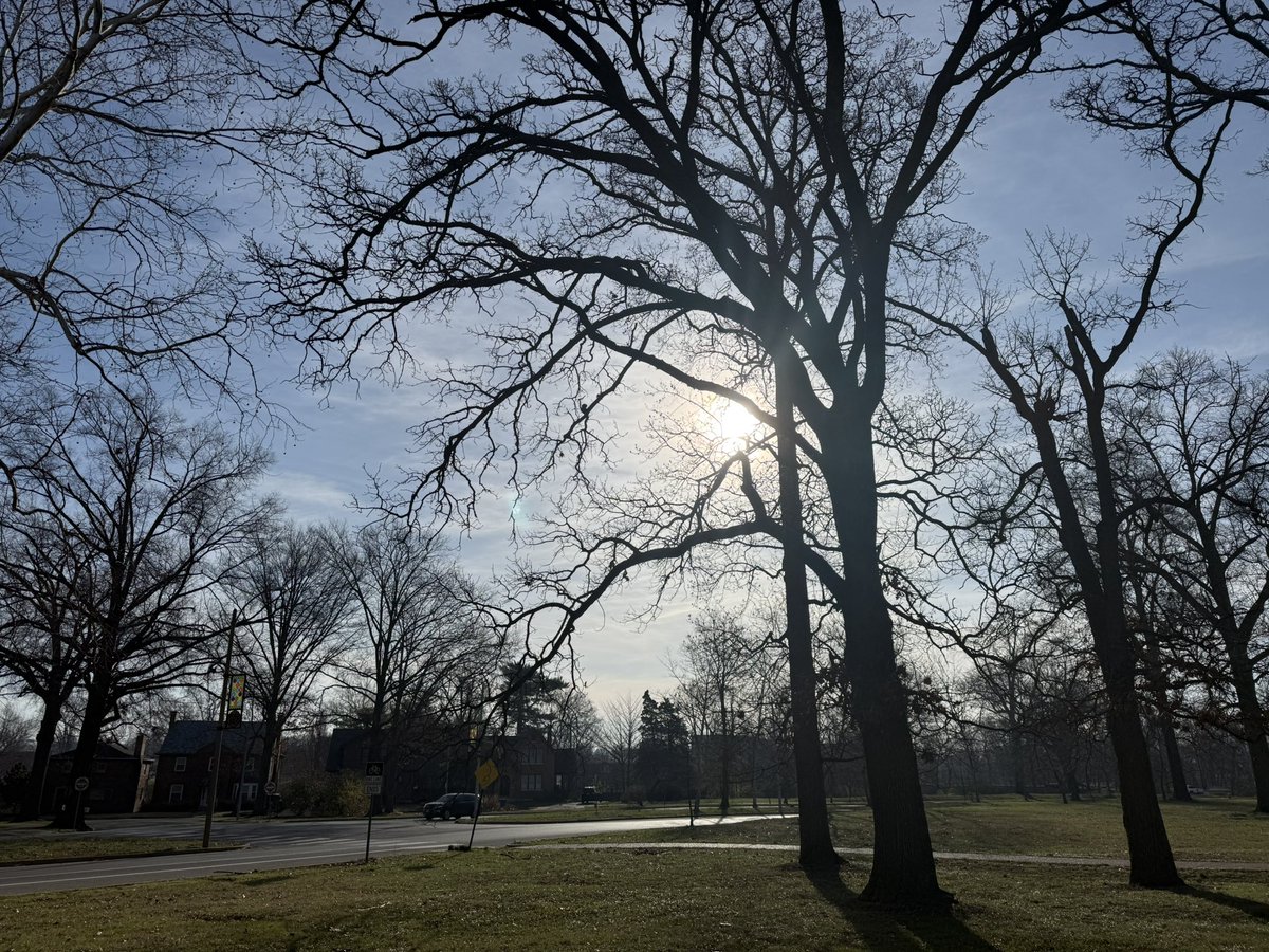 MitchellMcCoy's tweet image. Spring is right around the corner in #STL. Spotted @SLMPD District 1 on patrol this morning in Carondelet Park.