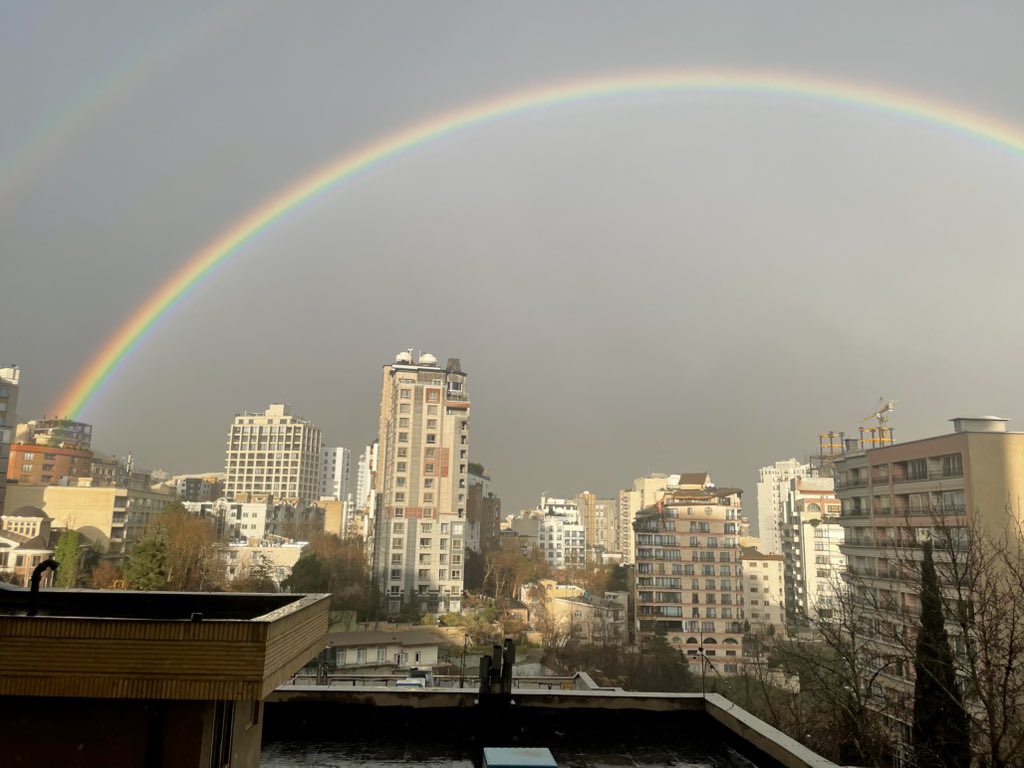 شَده tweet media