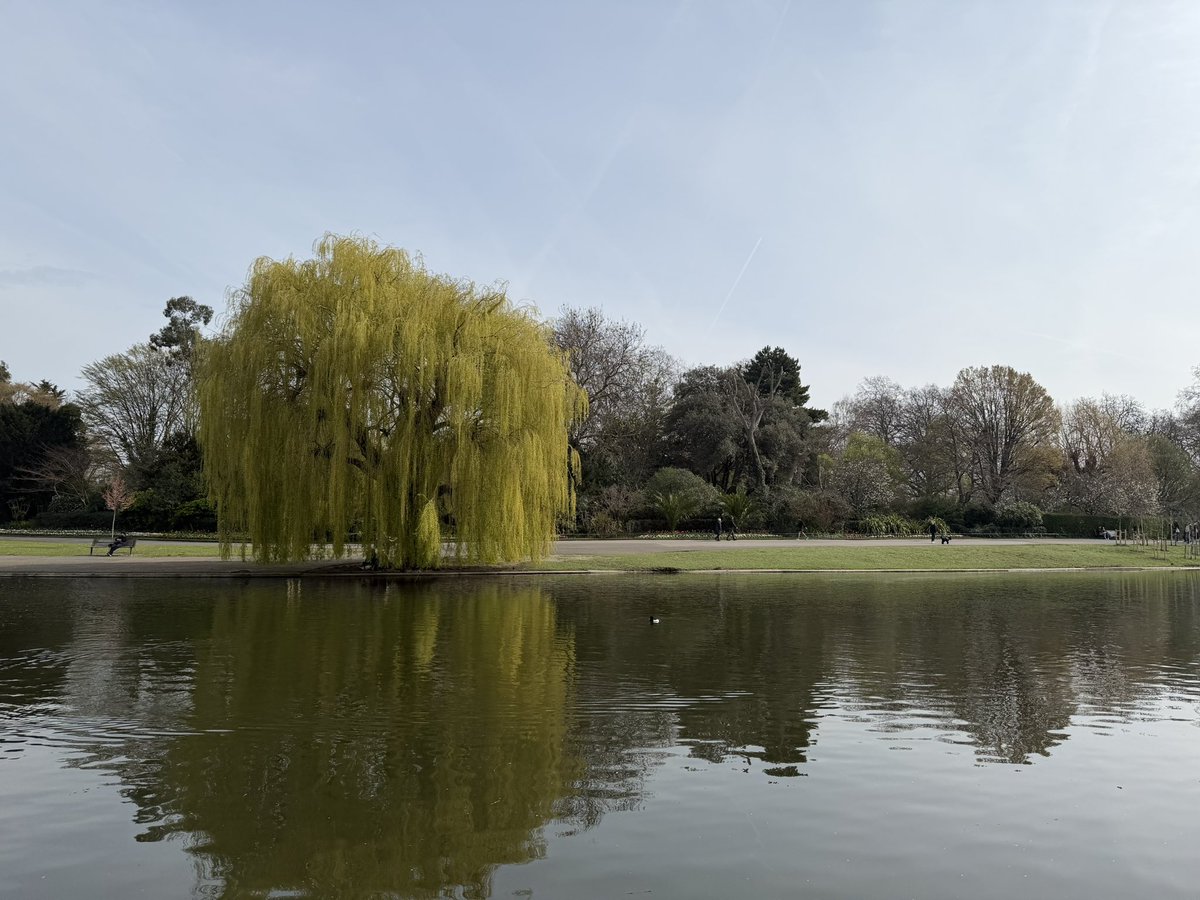 Mirage | Gosain tweet media