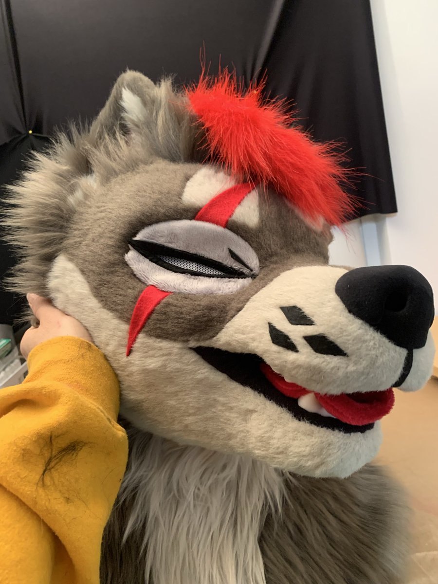 ✨❤️ New premade done! Auction will be this weekend! ❤️✨
#fursuit #furryfandom #fursuitforsale #fursuitmaker #fursuitfriday