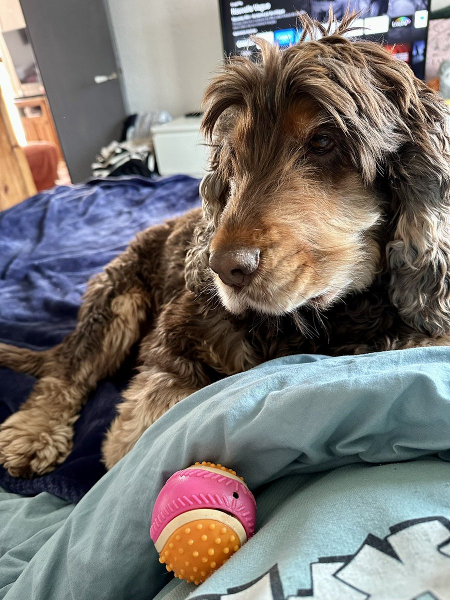 RobertLeCocker tweet media