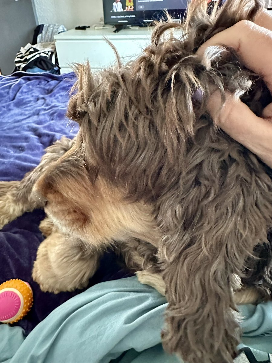 RobertLeCocker tweet media