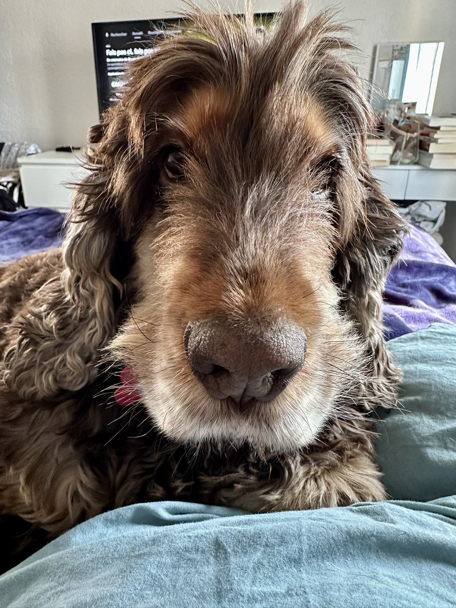 RobertLeCocker tweet media