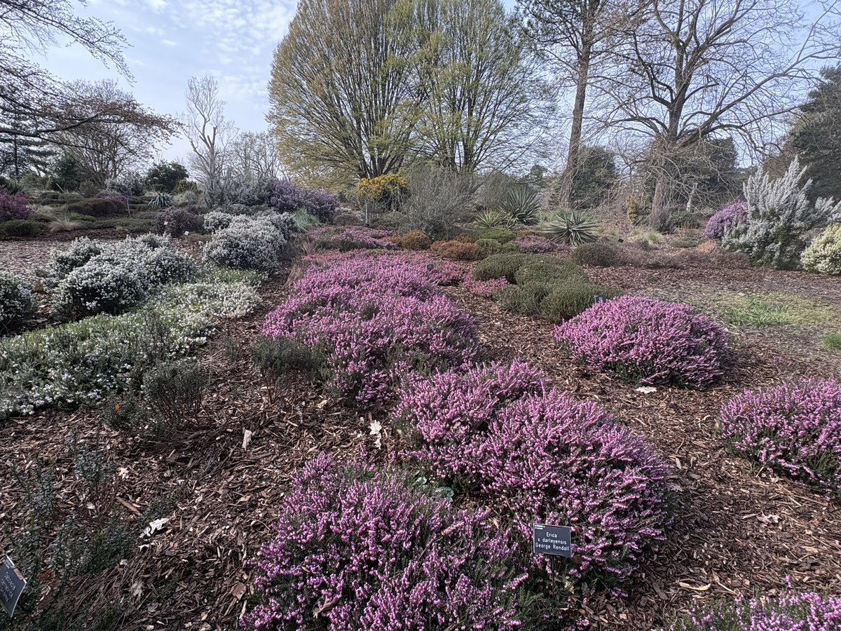 Erica Wooff tweet media