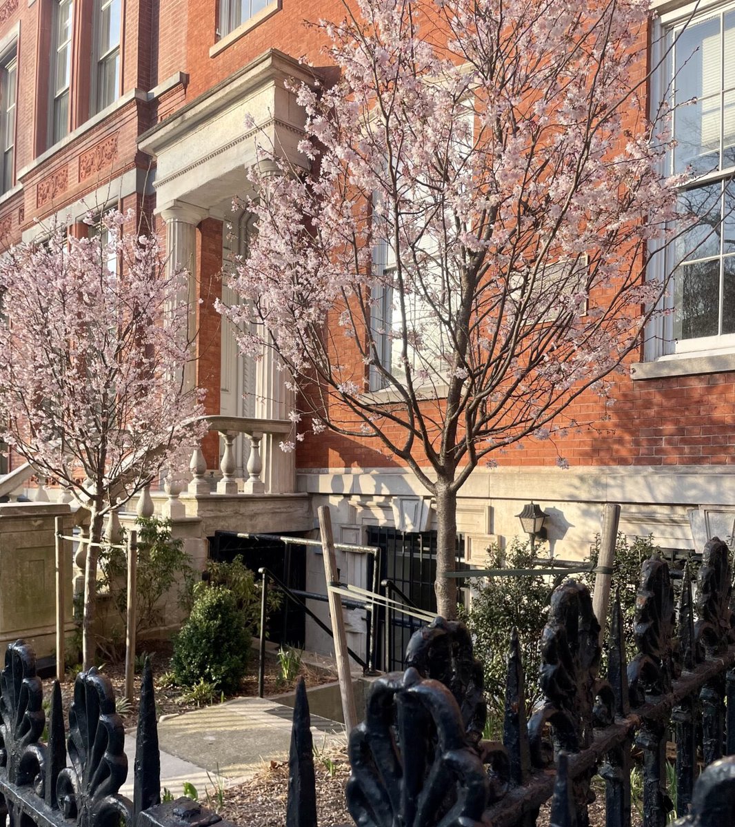 Village Preservation (GVSHP) tweet media