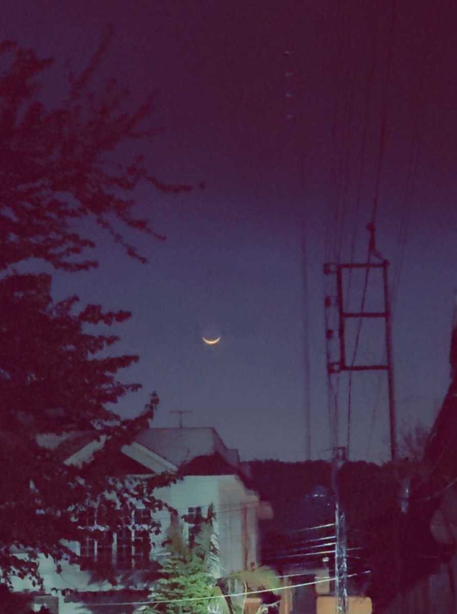 Laibha Tariq tweet media