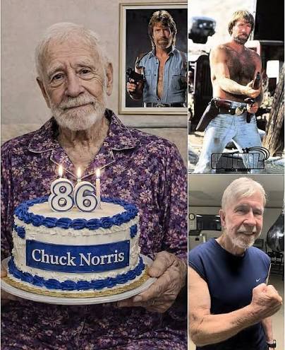 FAFO The First tweet media