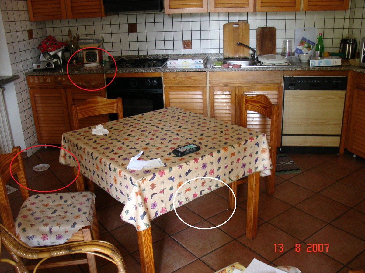 Dave Pollak ᓚᘏᗢ 🇧🇹 tweet media