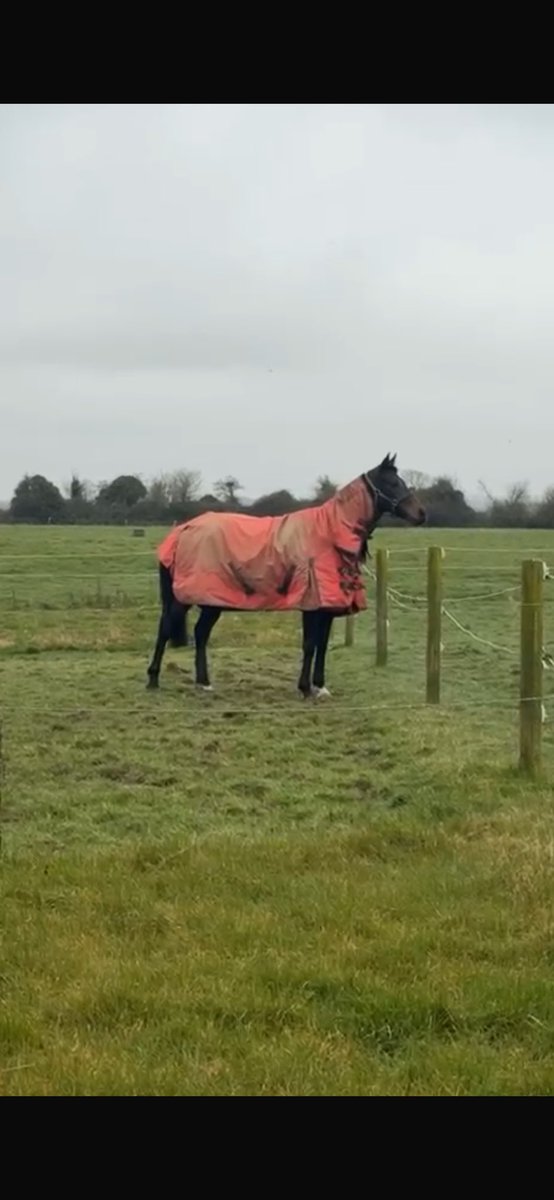 James Griffin tweet media