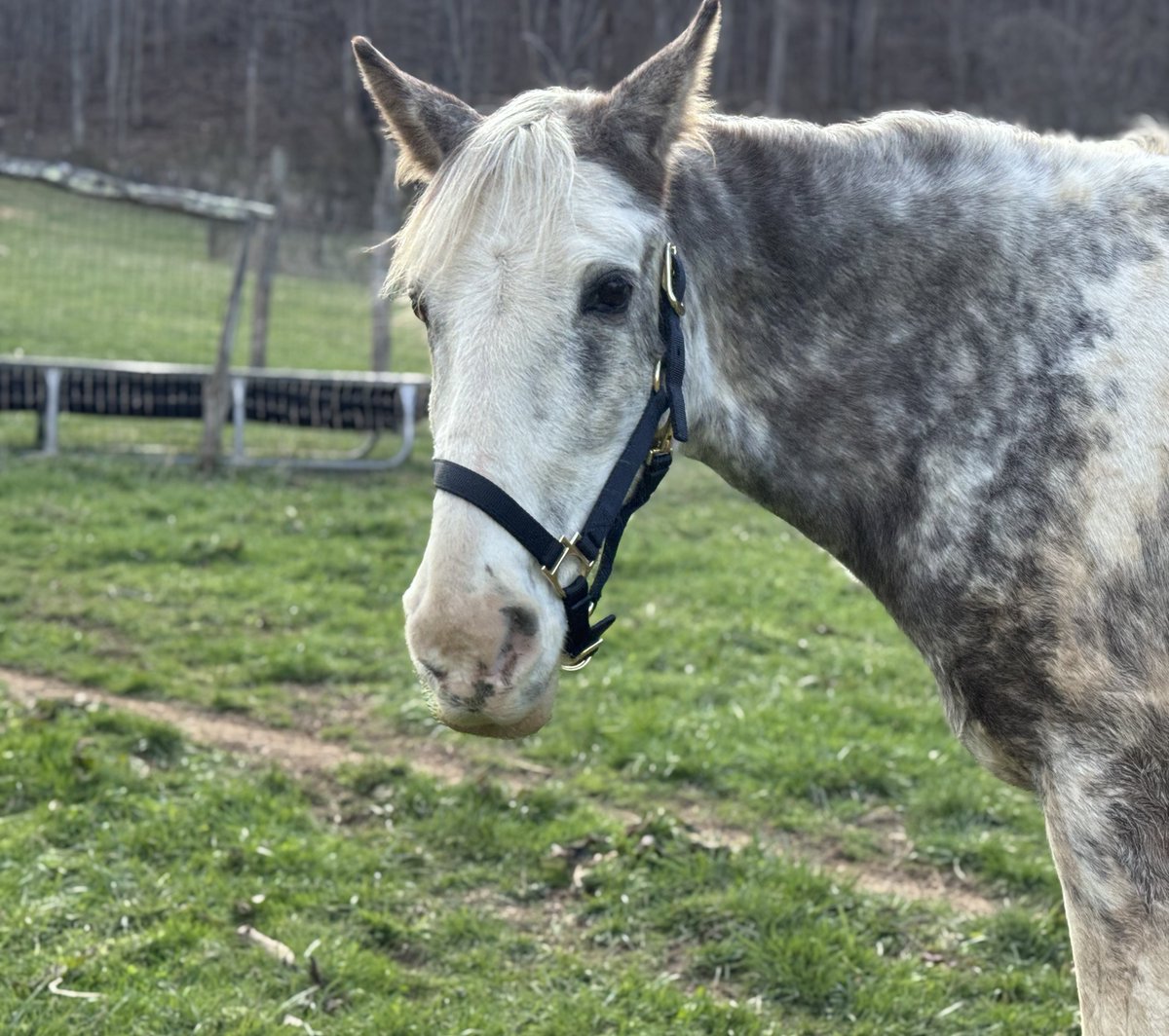 cynley 🎀 tweet media