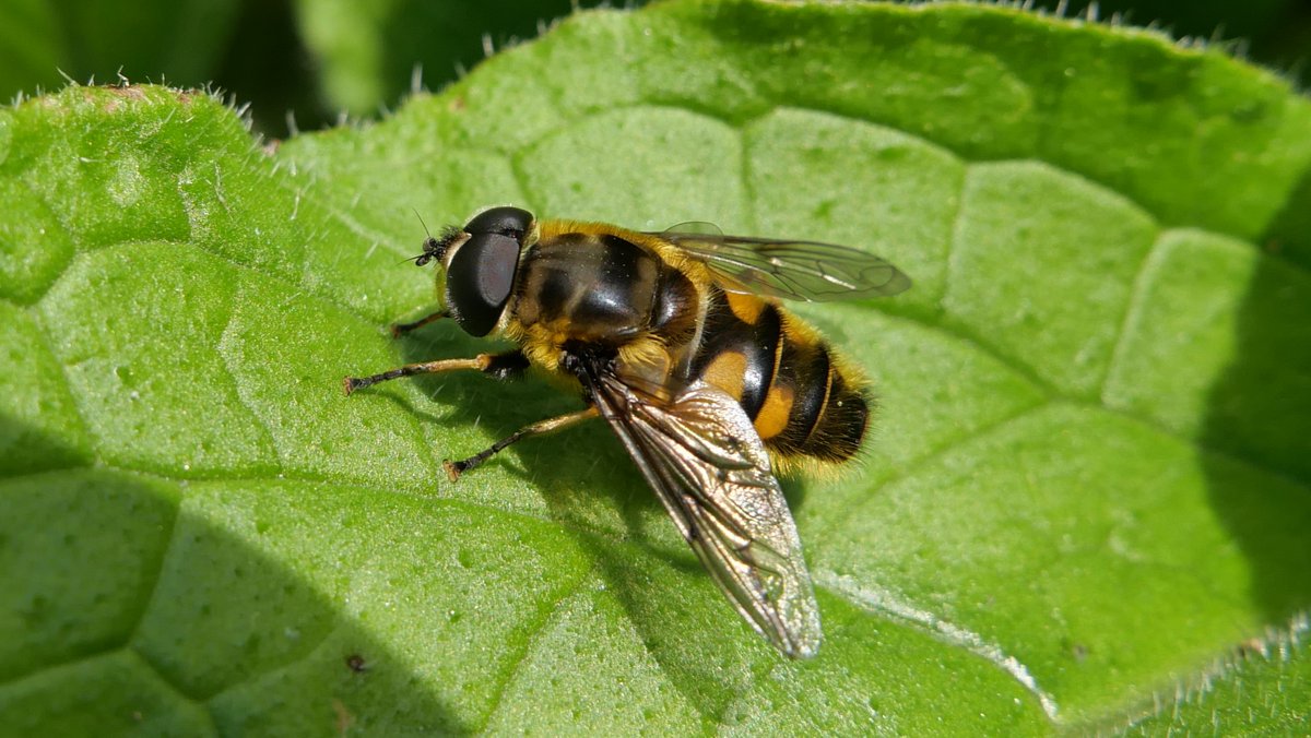 Simon Knott tweet media