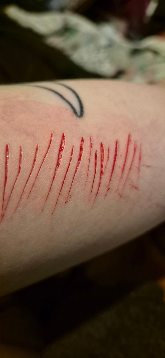 Ghost of Shtwt tweet media