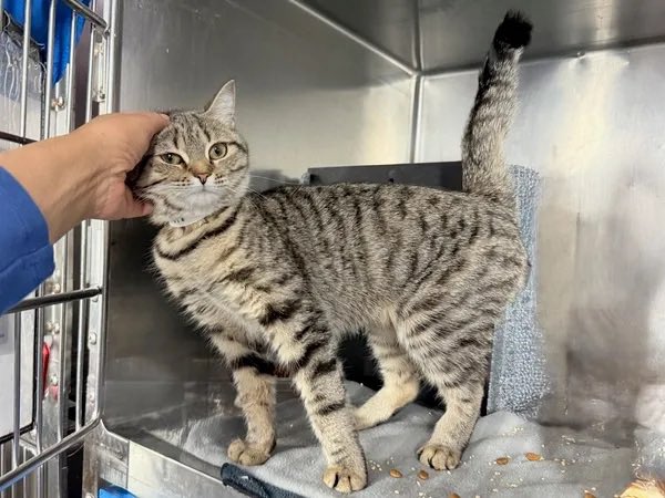 Twunk in Training 🇵🇸 tweet media