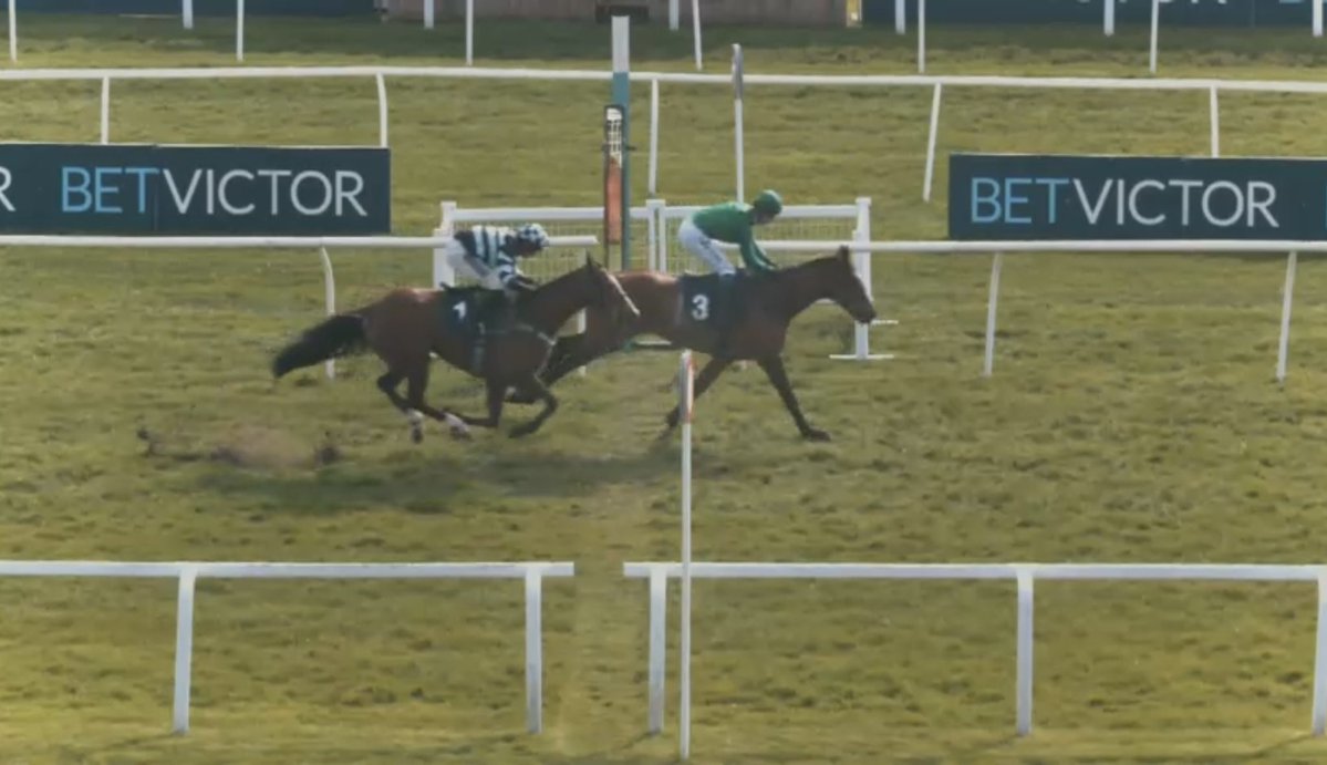 Joe Norris tweet media