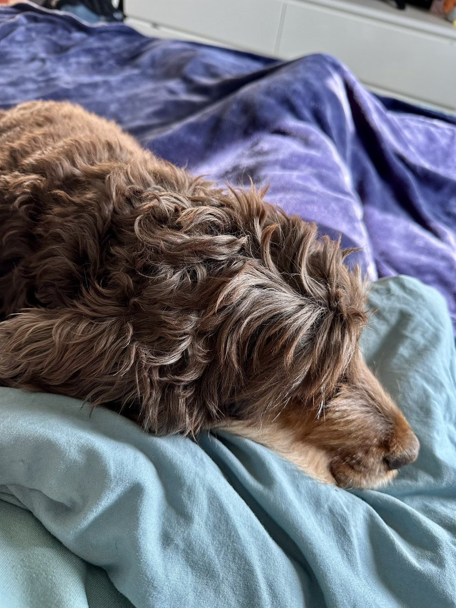 RobertLeCocker tweet media