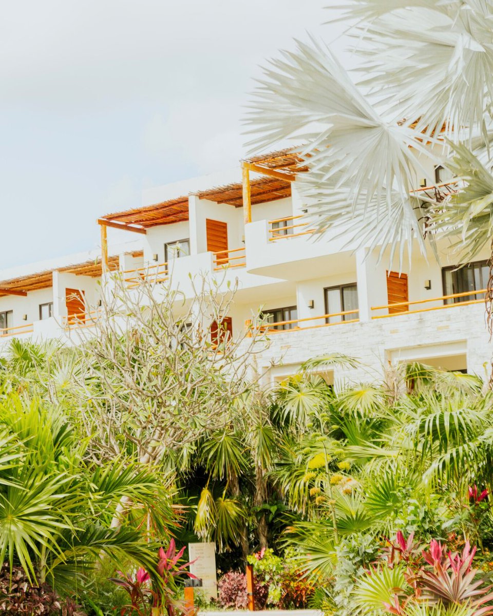 Secrets Resorts & Spas tweet media