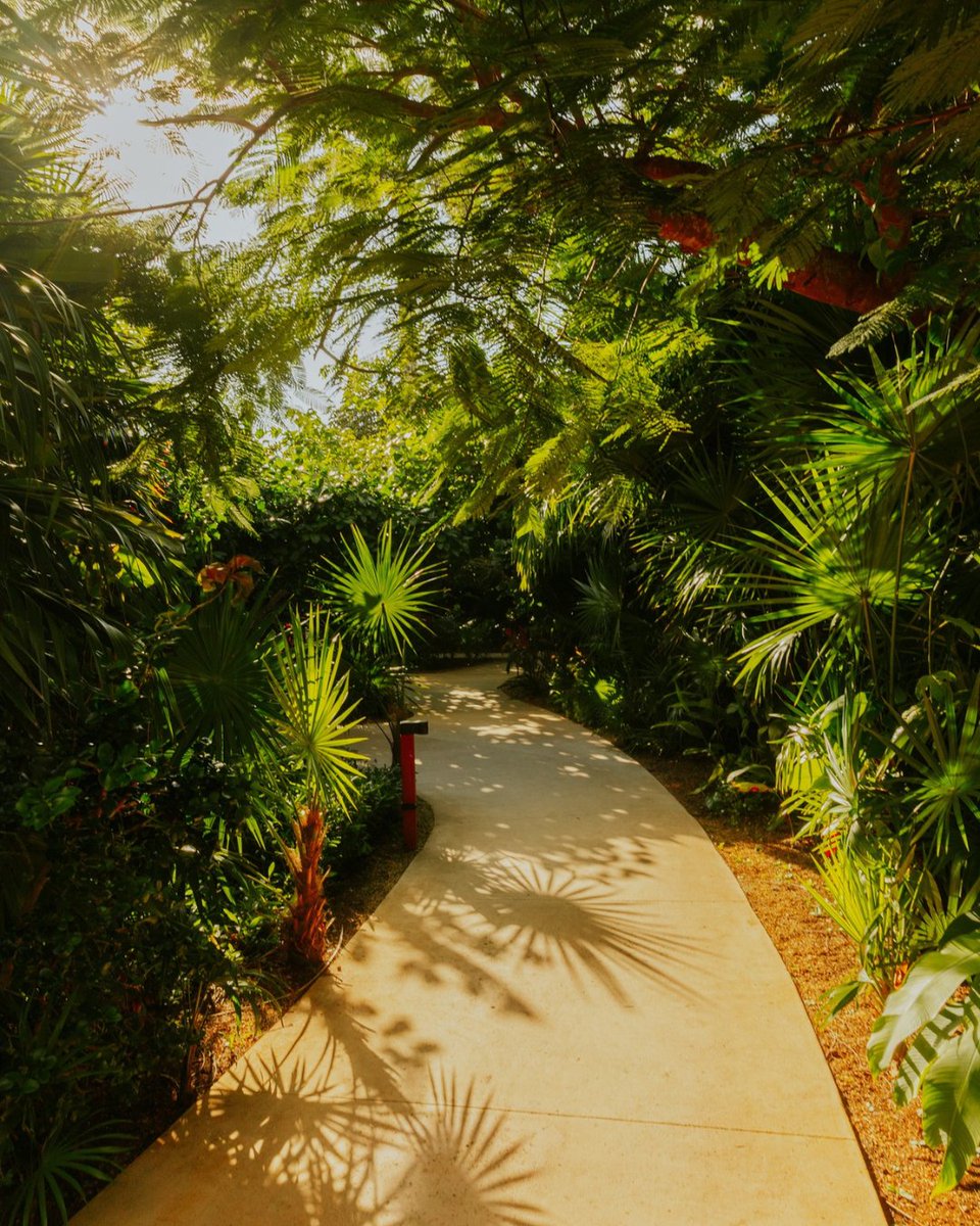 Secrets Resorts & Spas tweet media