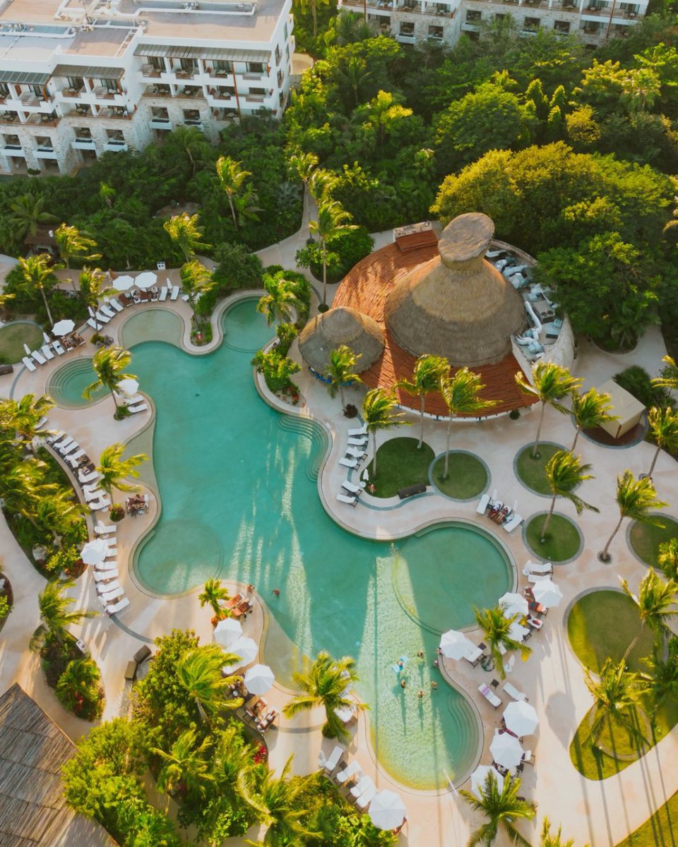 Secrets Resorts & Spas tweet media