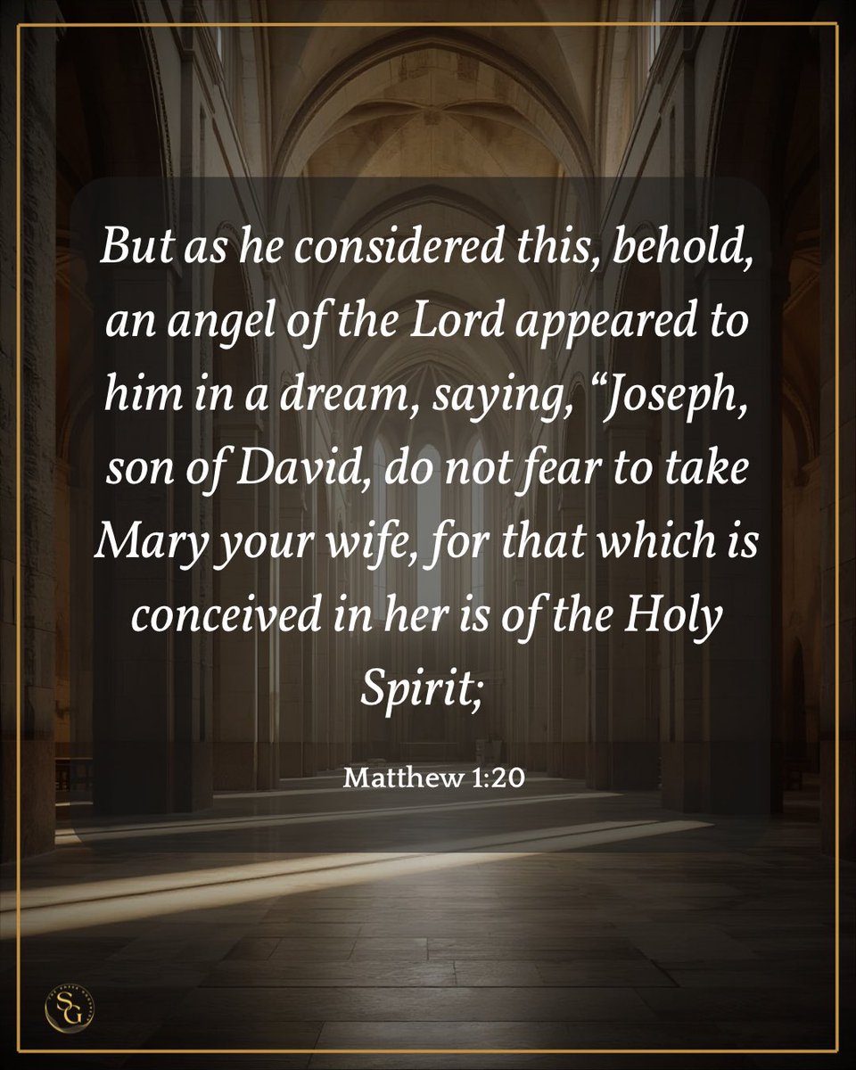 The Sheer Goodness 🕊️ tweet media