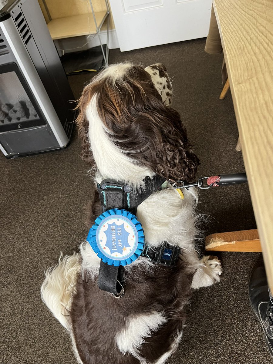 EDDIE Heir 2 AdsDogCharlie tweet media