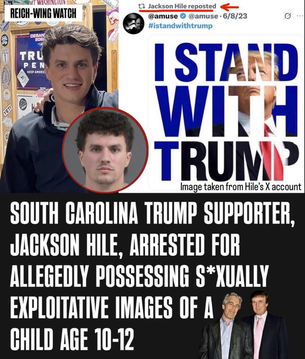 Reich-Wing Watch tweet media